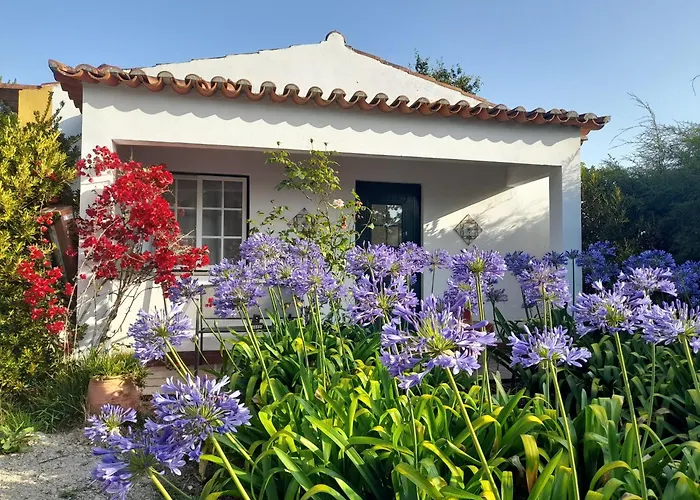 Casas Do Alpendre