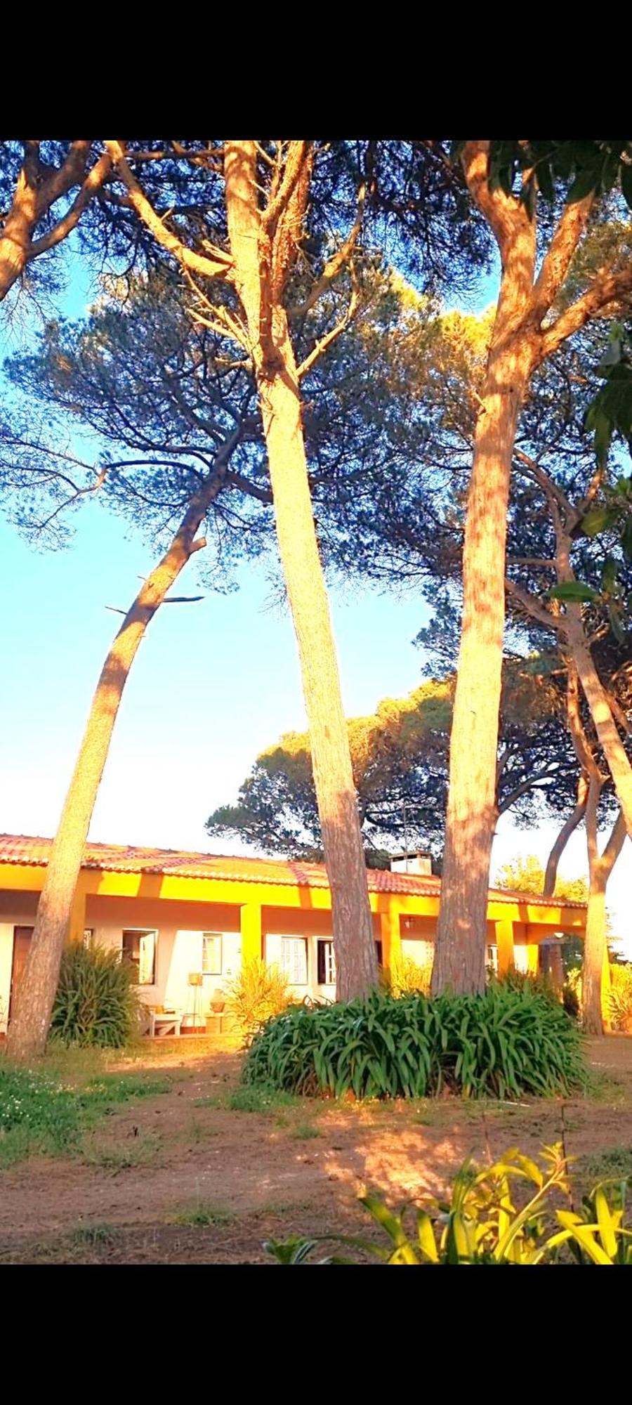 Holiday home Casas Do Alpendre
