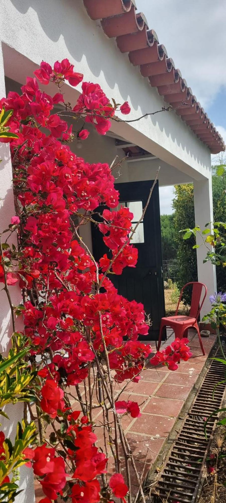 Casas Do Alpendre *