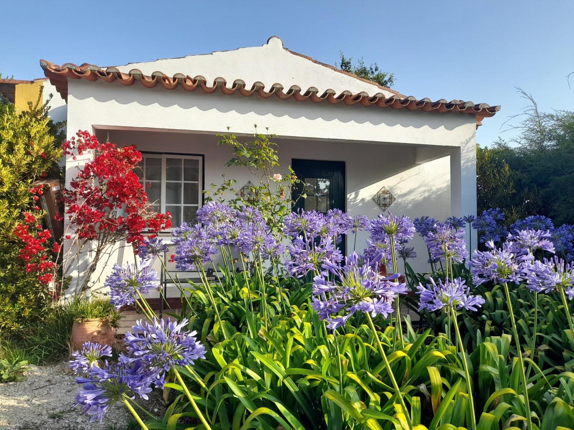 Casas Do Alpendre